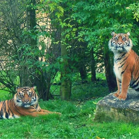 בית נופש Staithes View Roxby